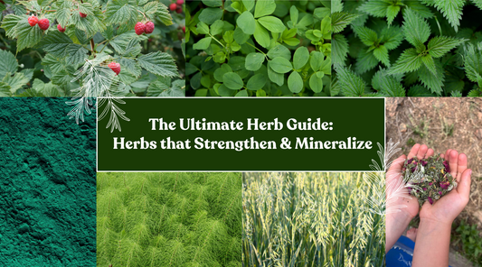 The Ultimate Herb Guide for Strengthening & Mineralizing Herbs