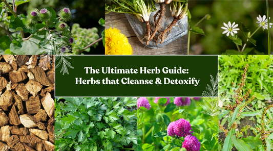 The Ultimate Herb Guide for Cleansing & Detoxifying Herbs