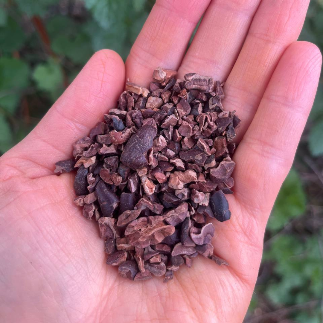 Cacao Nibs (Colombian Farm Fresh Organic)